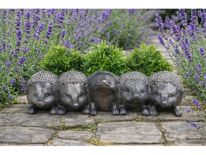 Hedgehogs Planters