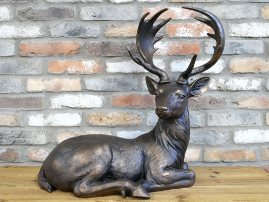 Laying Deer