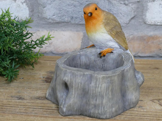 Robin Birdfeeder