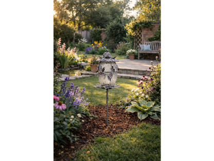 Bird Feeder