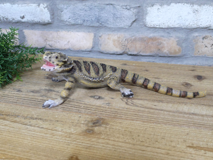 Lizard