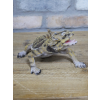 Lizard