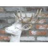 Standing Stag