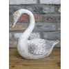 Swan