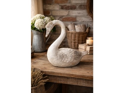Swan