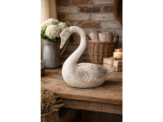 Swan