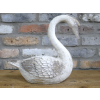 Swan