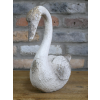 Swan
