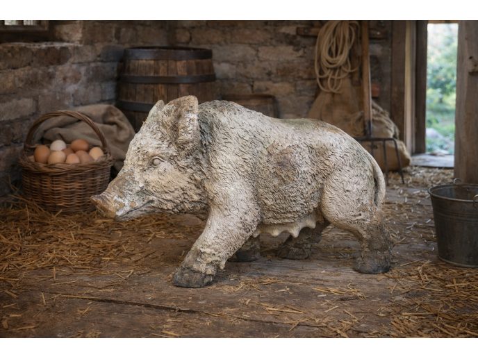 Wild Boar