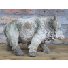 Wild Boar