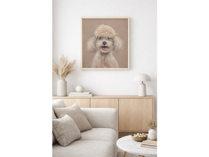 Dog With Fringe
