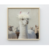 Llama With Fringe