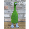 Grassy Duck