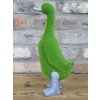 Grassy Duck