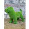 Grassy Dog