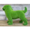 Grassy Dog