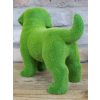 Grassy Dog