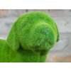 Grassy Dog