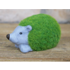 Grassy Hedgehog