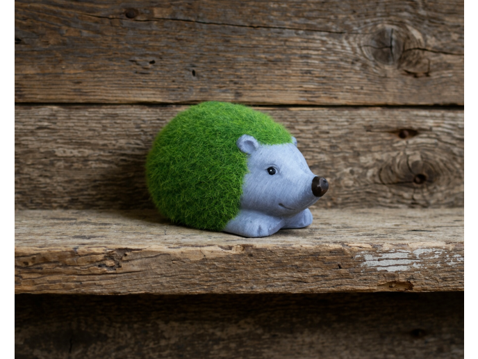 Grassy Hedgehog