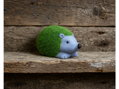 Grassy Hedgehog