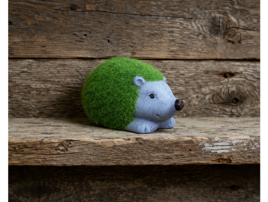 Grassy Hedgehog