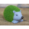 Grassy Hedgehog