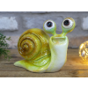 Big Eyes Snail - Green