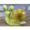 Big Eyes Snail - Green
