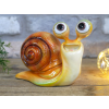 Big Eyes Snail - Orange