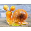 Big Eyes Snail - Orange