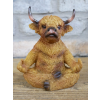 Zen Highland Cow