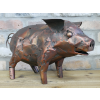 Patchwork Pig
