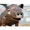 Patchwork Pig