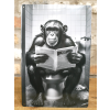 Chimp On The Loo - Tin Sign