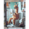 Llama On The Loo - Canvas
