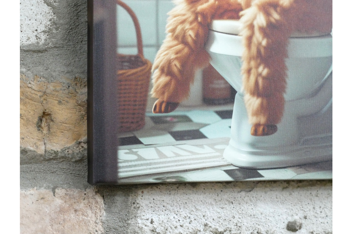 Fluffy Llama on Toilet Canvas Print - Funny Bathroom Wall Art Decor