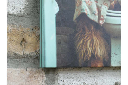 Highland Cow in Dressing Gown Canvas - Funny Toilet Bathroom Wall Art