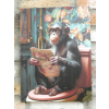 Chimp On The Loo - Canvas