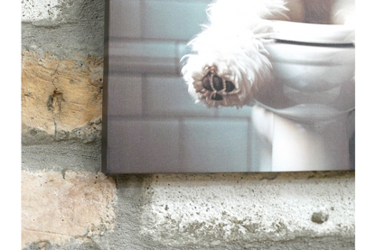 White Dog with Glasses Canvas Print - Funny Bathroom Canine Wall Art