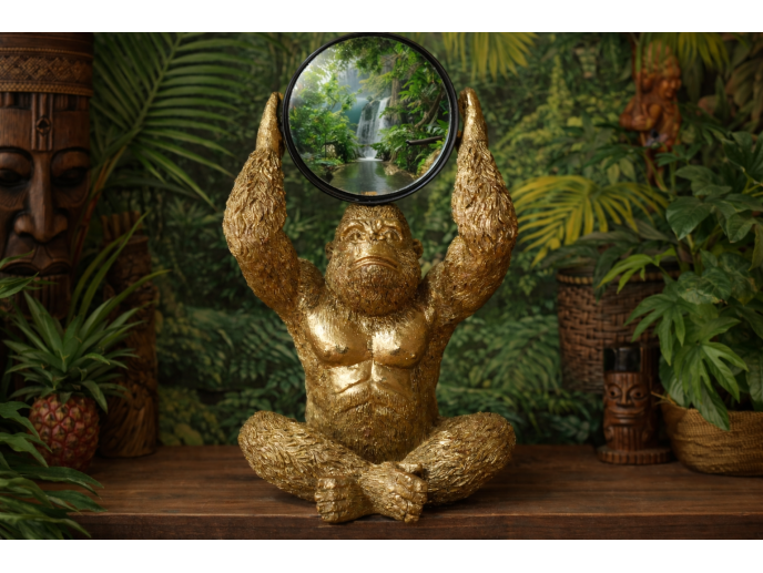 Gorilla Mirror