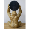 Gorilla Mirror