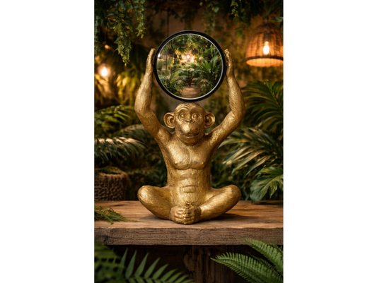 Monkey Mirror