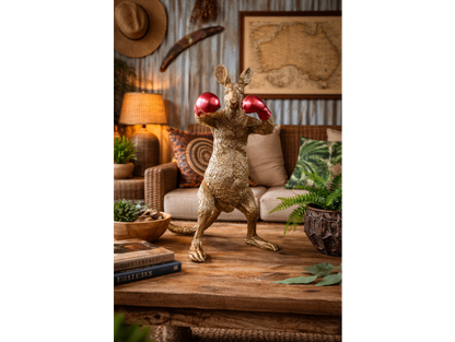 Kangaroo Boxer