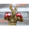 Kangaroo Boxer