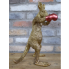 Kangaroo Boxer
