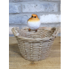 Robin On A Basket