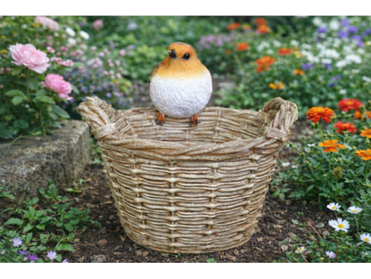 Robin On A Basket