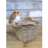 Robin On A Basket
