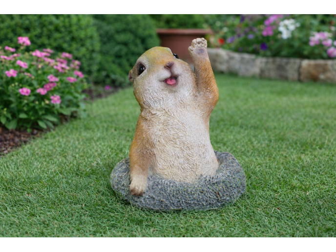 Meerkat